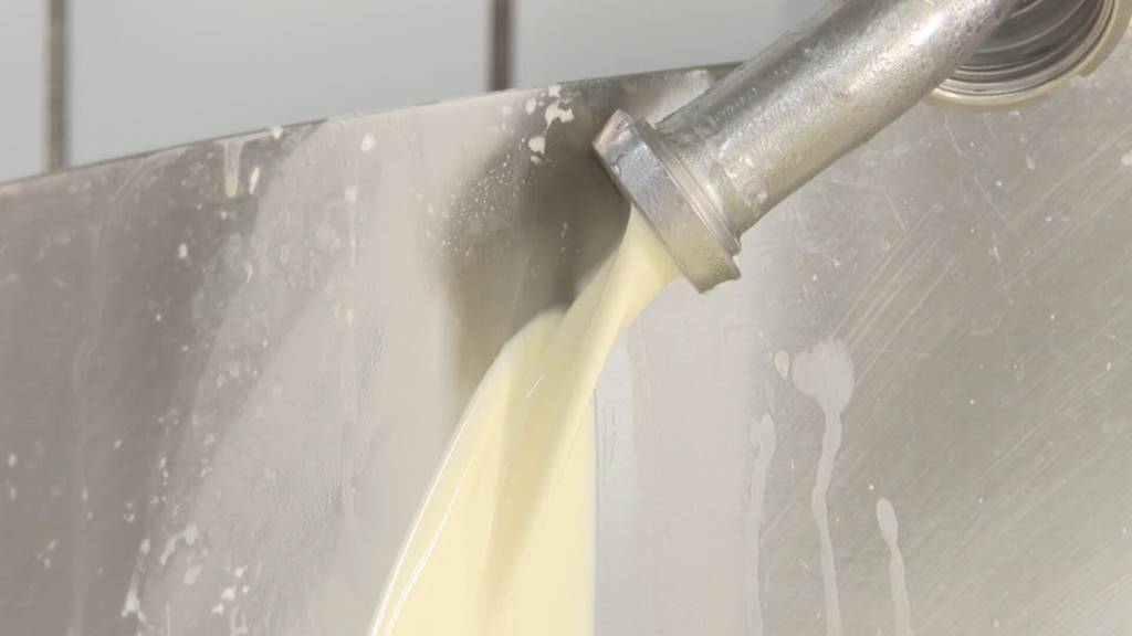 Harter Preiskampf: Ostschweizer Kühe produzieren zu viel Milch