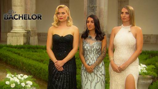 Der Bachelor 3