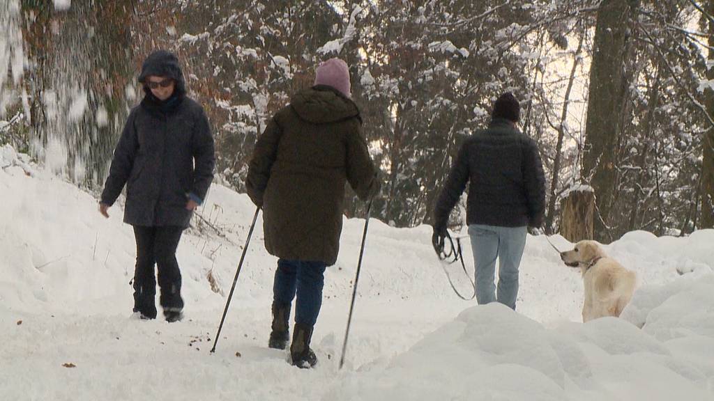 Hohe Lawinengefahr nach erneuten Schneefällen