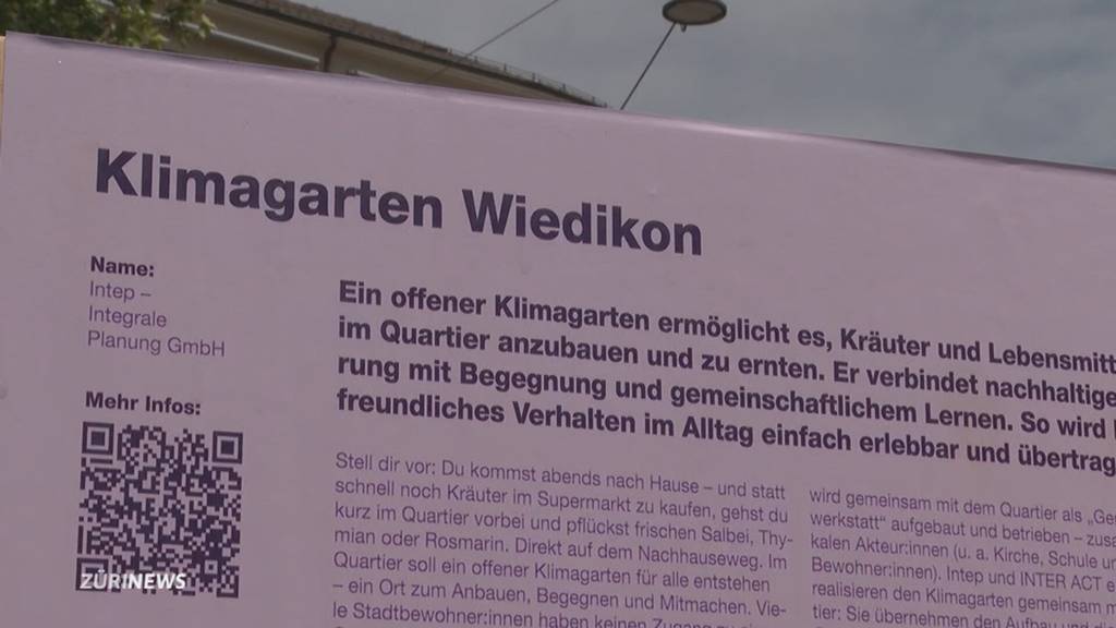 Pilotquartier Netto Null: Stadt Zürich prämiert Klima-Ideen