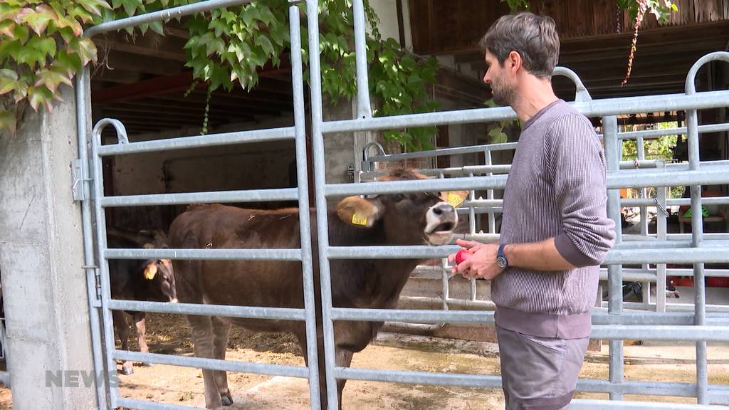 Keine verschärfte Tierhaltung in der Schweiz