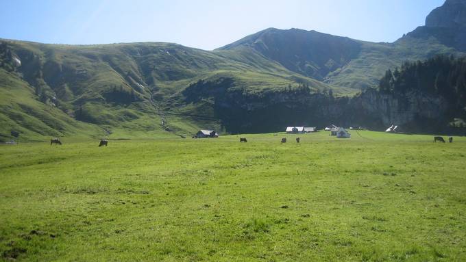 1. Nationale Landsgemeinde fürs Klima