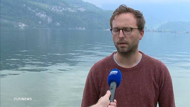 Sauerstoffmangel im Zürichsee