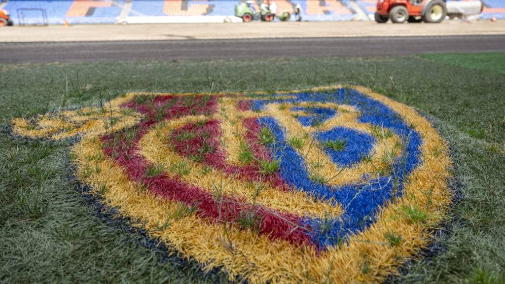 Das Frauen-Team des FC Basel hat einen neuen Trainer
