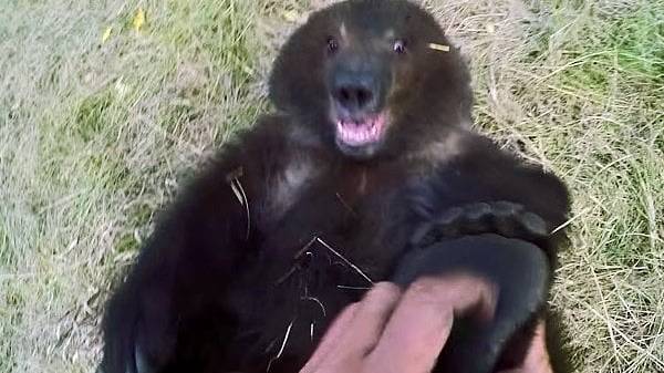 Jungen barfuß kitzeln