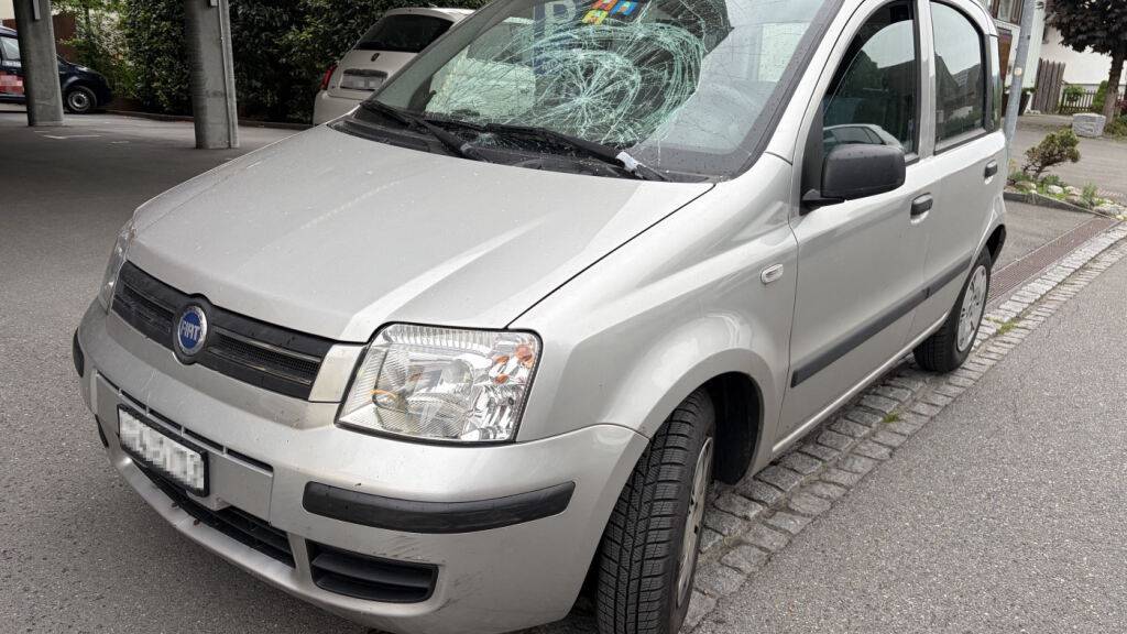 Ein 40-jähriger Fussgänger wurde mit seinem Blindenhund in Widnau SG von einem Auto erfasst.