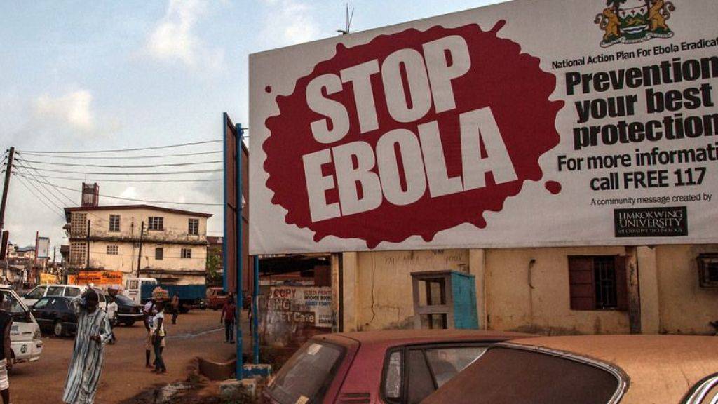 Forschenden konnten einen Antikörper gegen das Ebola-Virus aus dem Blut eines Überlebenden des Ebola-Ausbruchs von 1995 gewinnen und künstlich herstellen. Einer der Antikörper erwies sich als extrem wirksam gegen das Virus.