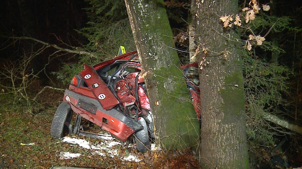 Tragischer Unfall: Dieser Peugot war im Wald eingeklemmt