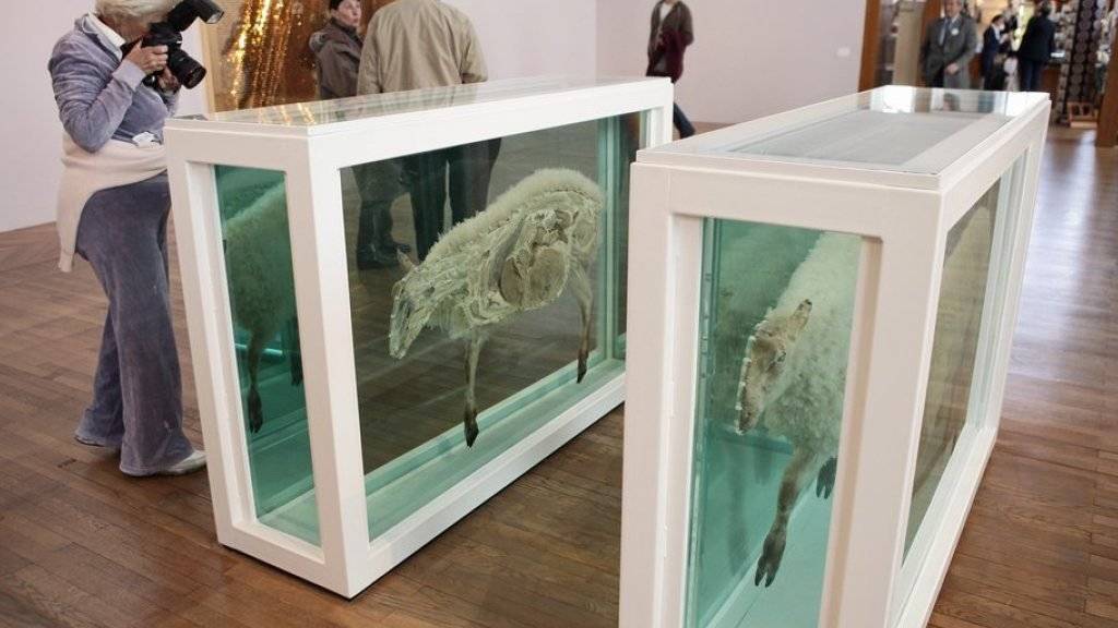 «Away from the Flock, Divided» ist eines von Damien Hirsts Kunstwerken in der Londoner Tate Gallery, das Formaldehyd ausschwitzt. Die Mengen des Gases überschreiten den Grenzwert, sind aber dennoch nicht gefährlich für Menschen. (Archivbild)