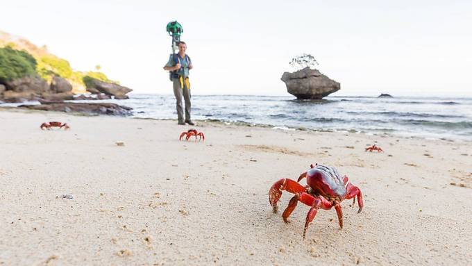 Krabbenwanderung auf Google Street View