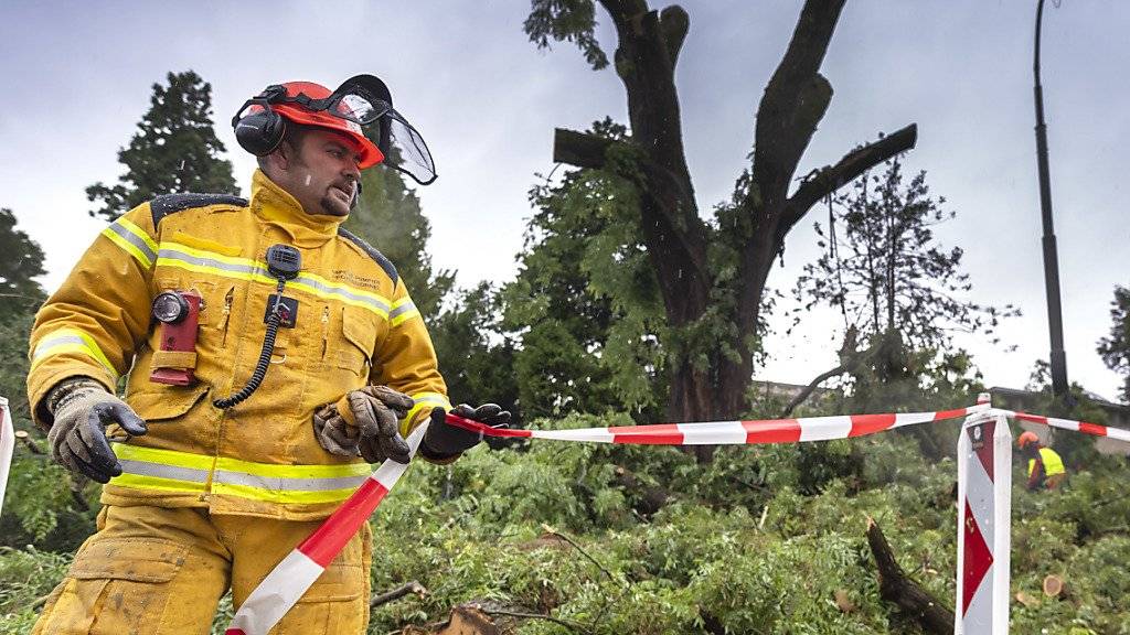 Die Genfer Feuerwehr hatte am Samstagnachmittag alle Hände voll zu tun - der Sturm hatte ganze Arbeit geleistet.