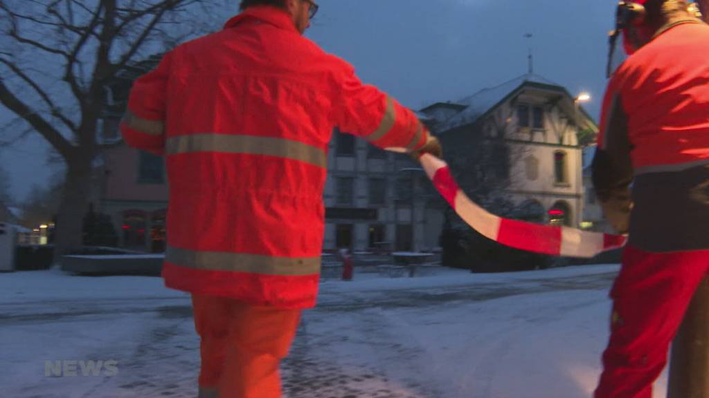 Weihnachtsbäume in Langenthal werden gefällt