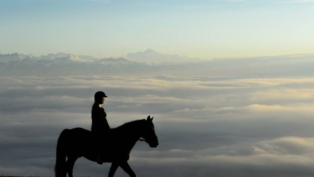 Reiterin stirbt bei Unfall im Waadtland