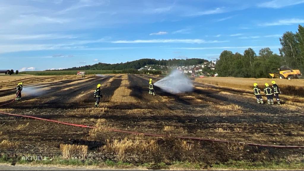 Feldbrand Sarmenstorf: Feuerwehr und Landwirt verhindern Schlimmeres
