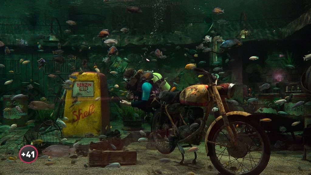 Best of +41 – Mensch und Tier