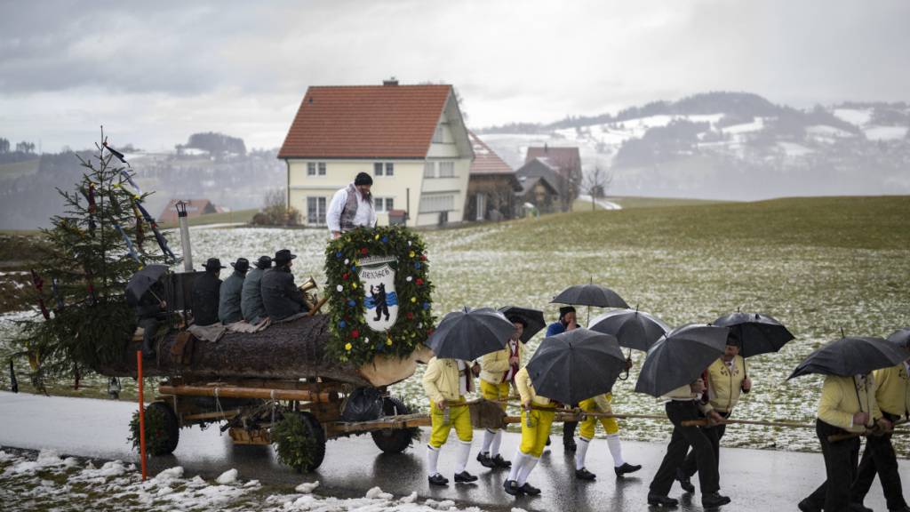 Männer ziehen durchs Appenzeller Hinterland einen geschmückten Baumstamm, der anschliessend versteigert wird. Der «Blochmontag» markiert das Ende der Fasnachtszeit.