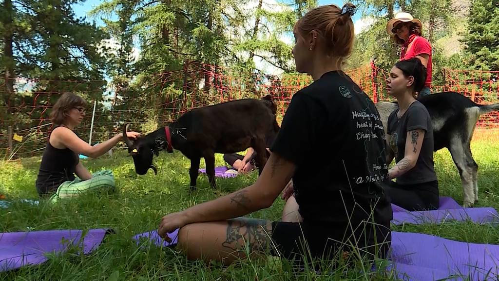 Geissen Yoga