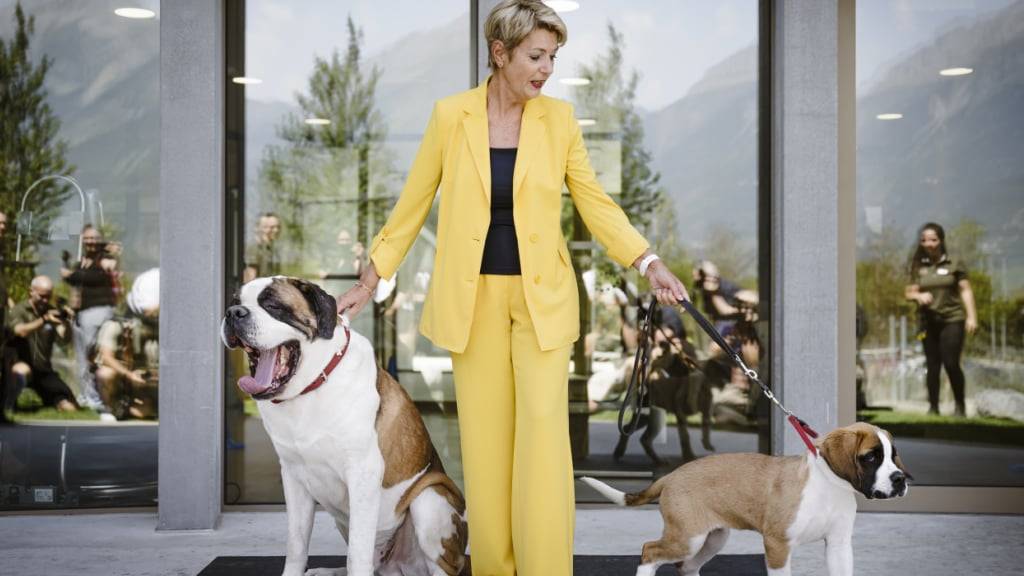 Bundespräsidentin Karin Keller-Sutter posierte am Donnerstag bei der offiziellen Einweihung des neuen Themenparks Barryland in Martigny mit Zeus (links), dessen Patin sie seit fünf Jahren ist, und mit dem kleineren Bernhardinerhund names Xcell (rechts).
