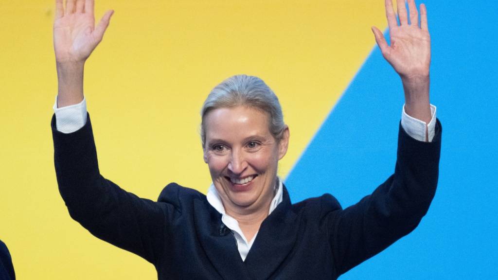 Weidel als AfD-Co-Chefin wiedergewählt