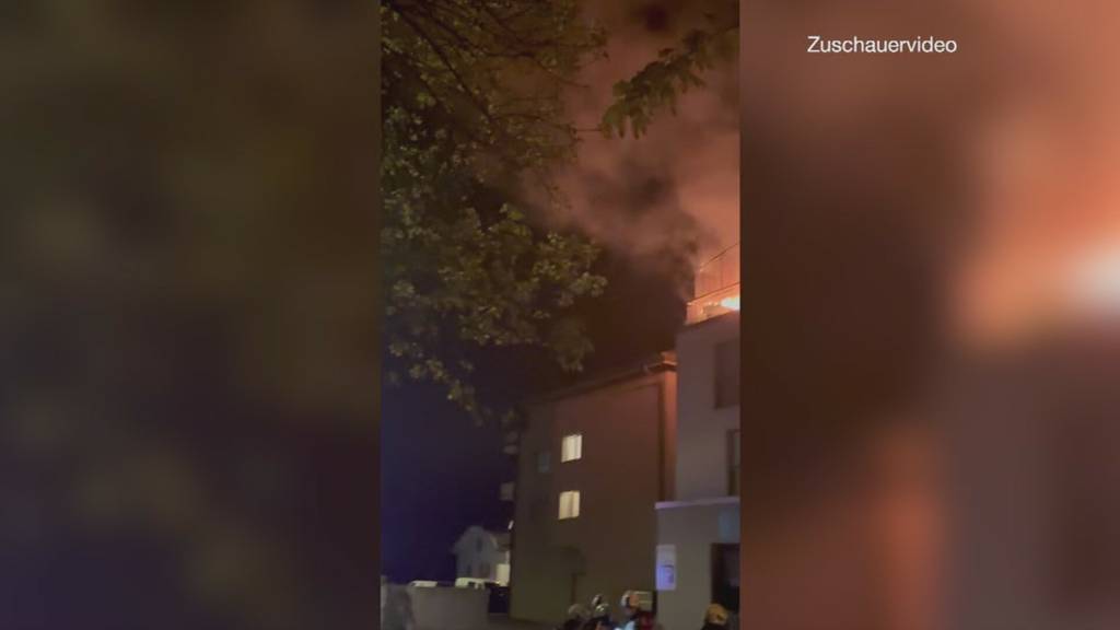 «Büsis» gerettet: Spezieller Einsatz für Feuerwehr Hitzkirch