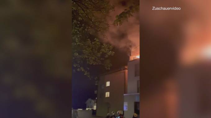 Spezieller Einsatz: Feuerwehr Hitzkirch rettet acht «Büsis»