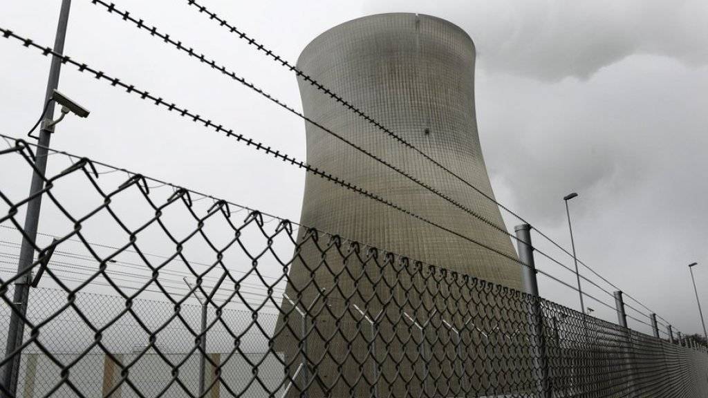 Das Kernkraftwerk Leibstadt bleibt bis voraussichtlich Februar 2017 vom Netz (Archivbild).
