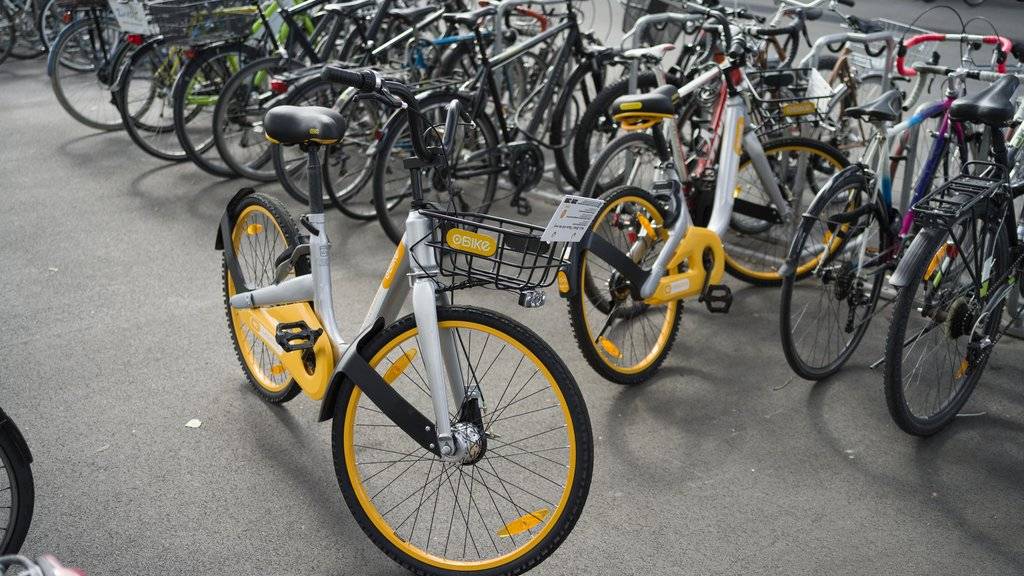 Die mehreren hundert OBike-Fahrräder, die eines Tages plötzlich überall in der Stadt Zürich anzutreffen waren, sorgten im Sommer für hitzige Diskussionen. (Archiv)