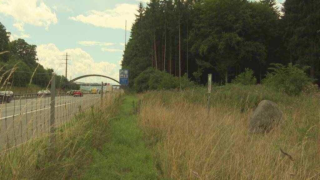 Bottisgrab im Grauholz bleibt wo es ist