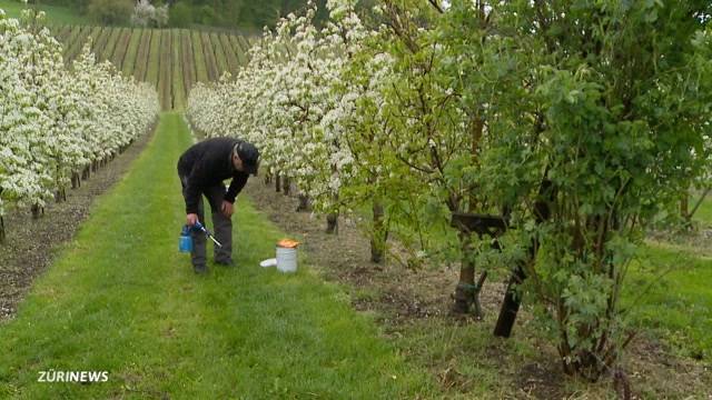 Wintereinbruch im April