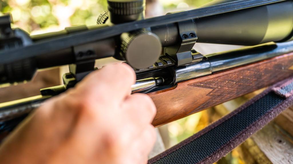 Jäger sollen 2026 in Graubünden 4616 Hirsche erlegen