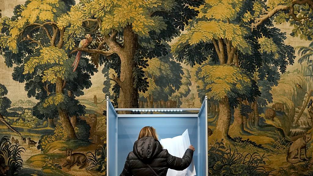 Eine Frau studiert ihren Stimmzettel für die Parlamentswahl in einer Wahlkabine im Rijksmuseum Twenthe. Rund 13,3 Millionen Wahlberechtigte sind aufgerufen ein neues Parlament zu wählen. Foto: Peter Dejong/AP/dpa