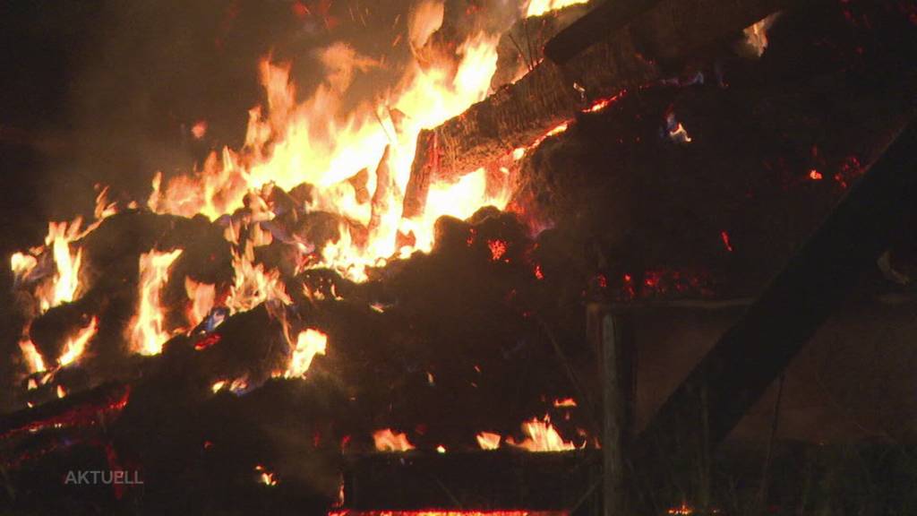 Komplett ausgebrannt: Flammen zerstören bei Bauernhof in Gränichen zwei Hallen