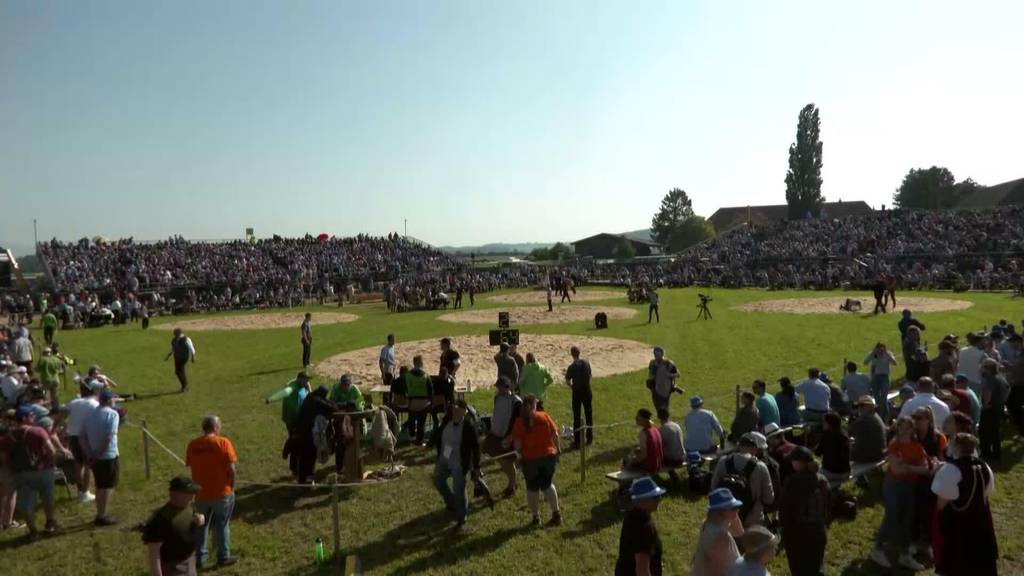 Zusammenfassung Oberaargauisches Schwingfest