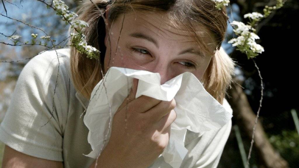 Ein Mädchen putzt sich die Nase. Niesende und schniefende Allergiker sind zu dieser Jahreszeit wieder häufiger im Strassenbild zu beobachten. Jeder Fünfte Mensch in der Schweiz zeigt allergische Symptome. (Symbolbild)