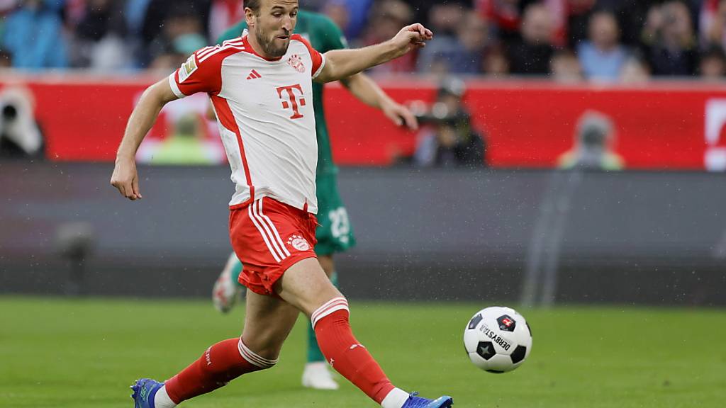 Harry Kane erfüllt bisher die Erwartungen in München