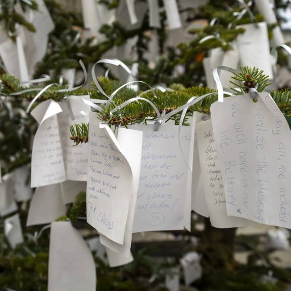 Für krebskranke Kinder: In St.Gallen gibt es dieses Jahr einen Wunschbaum