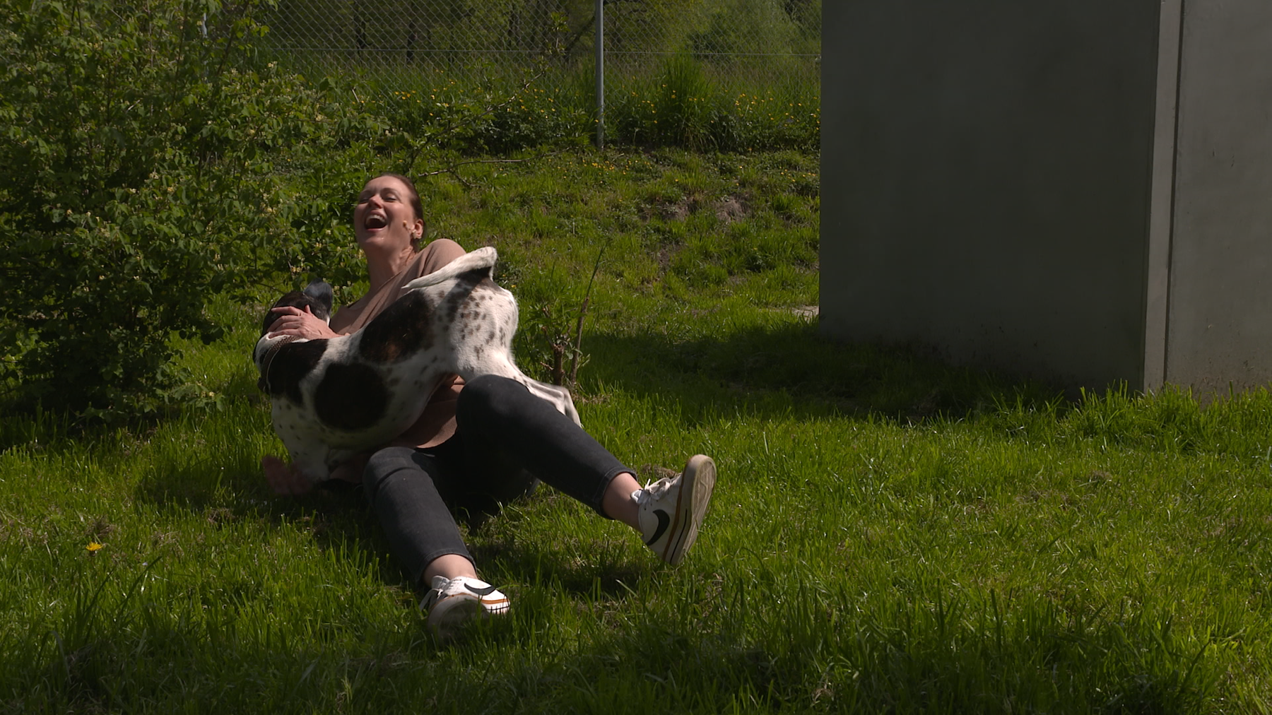 Pleiten, Pech und Pannen......