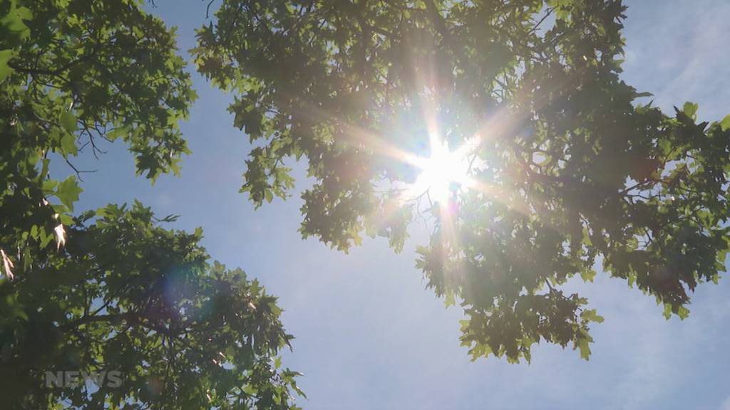 Rekordtemperaturen im September