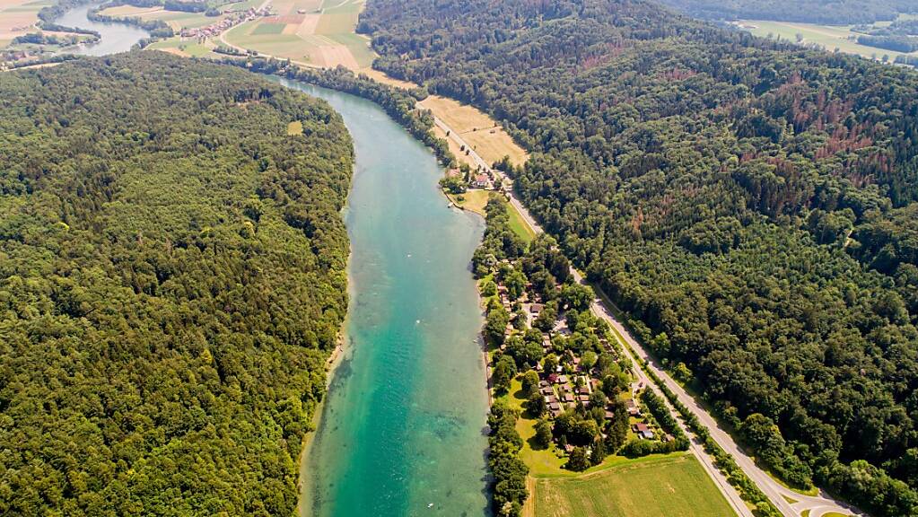 Der Rhein ist auf dem Abschnitt Camping Ziegelhütte/Läui-Schupfen unter anderem ein national bedeutender Lebensraum für die gefährdeten Äschen.