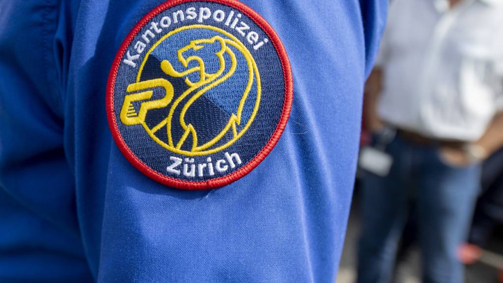 Die Zürcher Kantonspolizei hat am Donnerstag den Chauffeur eines serbischen Reisecars vorübergehend festgenommen. Er fuhr am Morgen auf der A3 ein Stück weit rückwärts, wodurch es zu einer Auffahrkollision mit fünf Fahrzeugen kam. (Symbolbild)