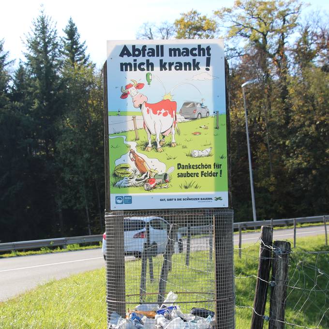Littering im Kanton Schwyz wird bald teurer