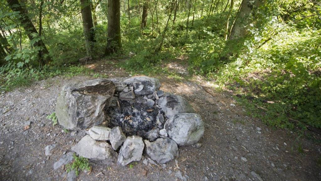 Grillieren im Wald verboten: Auch die Kantone Freiburg und Neuenburg erlassen wegen der Waldbrandgefahr ein Feuerverbot im Wald und in Waldesnähe. (Archiv)