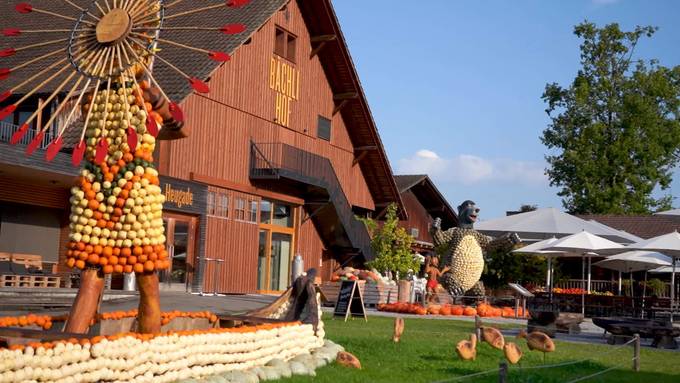 Ausstellung: Bächlihof in Rappi-Jona zeigt Kürbisfiguren
