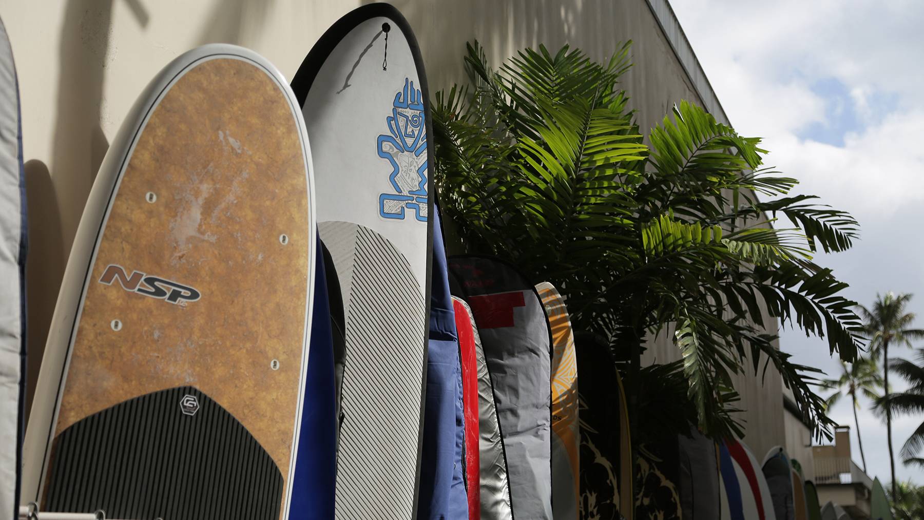 usa_hawaii_surfbrett01_DF