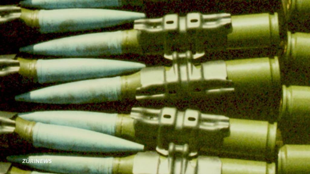 Sollen Schweizer Waffen weitergeliefert werden können?
