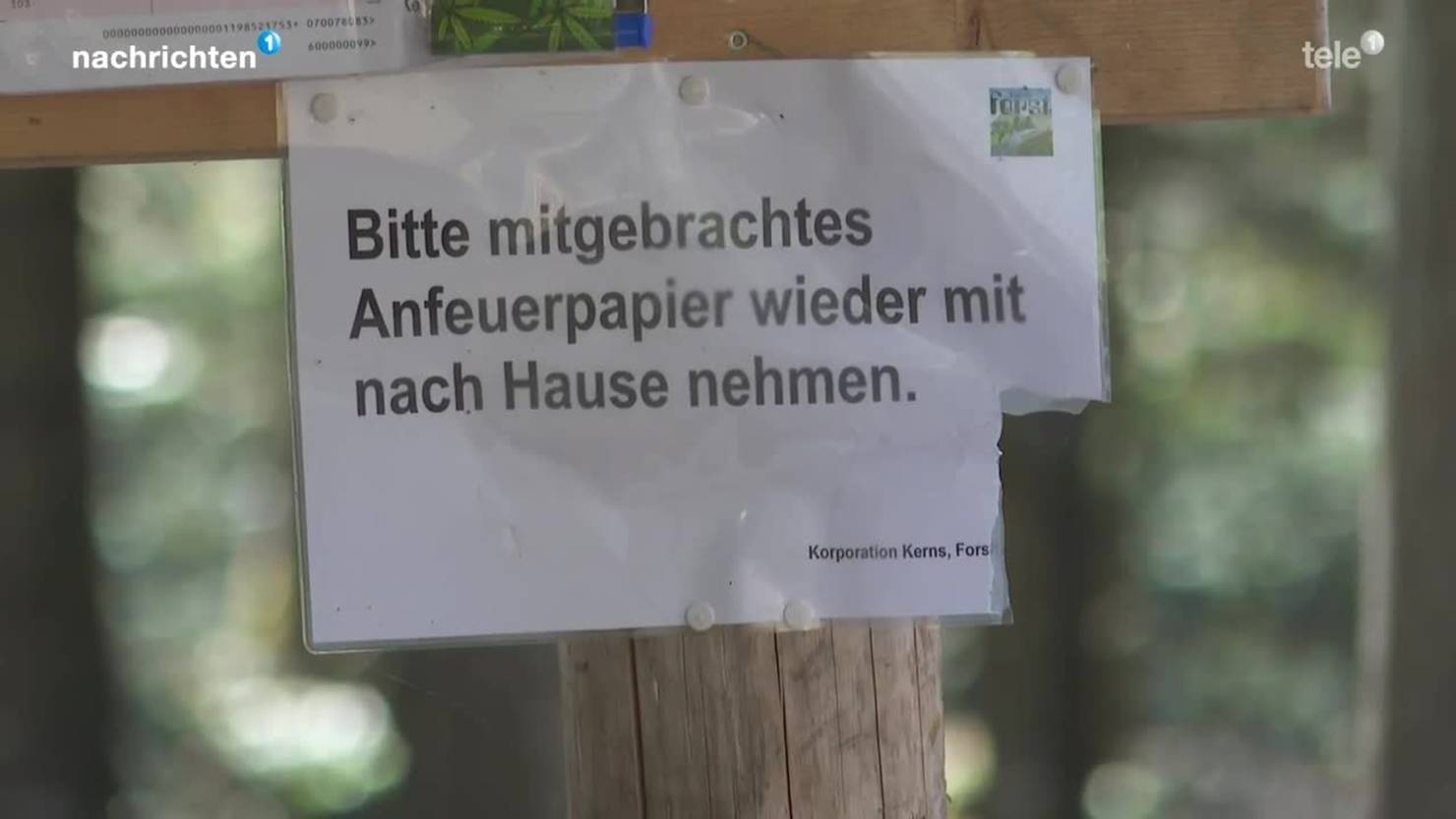 Littering Im Wald Nimmt Wieder Massiv Zu Tele