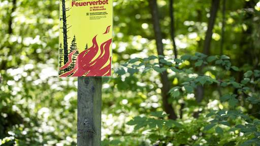 Wegen Waldbrandgefahr – Feuerverbot im Wald
