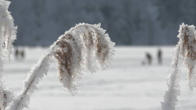 Gefrorener Schwarzsee lockt Eissportfans an