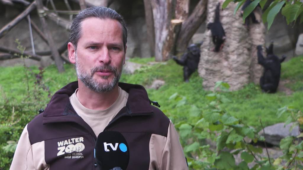 Reaktion: Walter Zoo befürchtet weniger Gäste