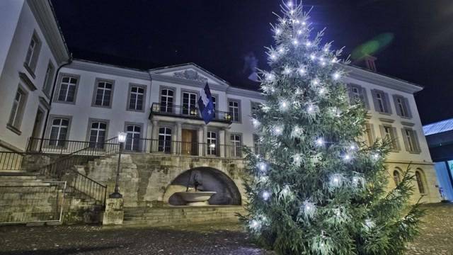 Weihnachtsbaum wird gefaellt